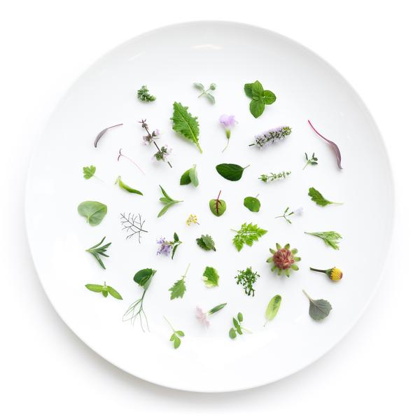 Farm One Herbs.jpg