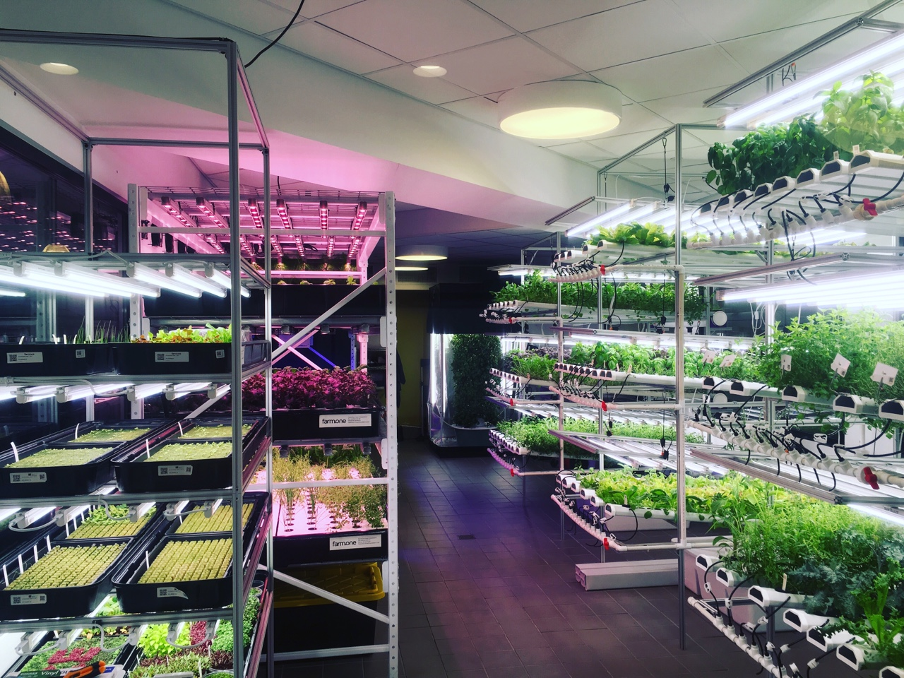 Farm One Manhattan Vertical Farm