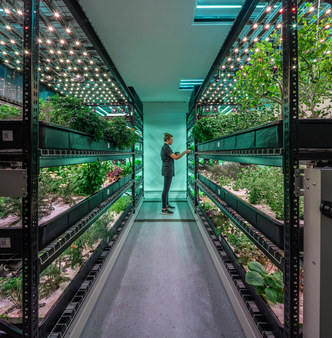 Image sourced from Agritecture’s former client, Farm.One