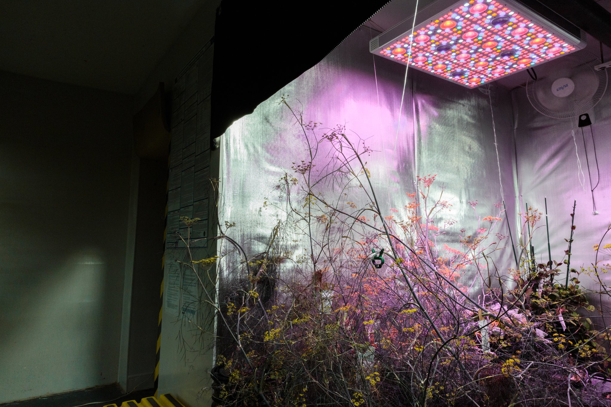The harvest room at Farm.One.