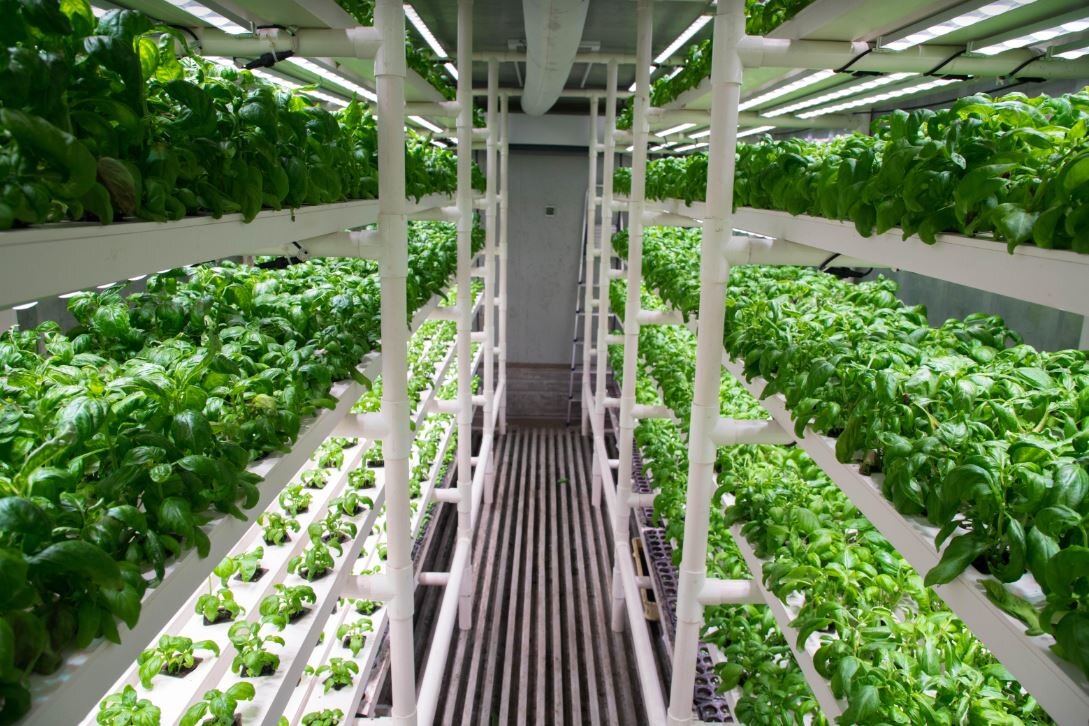Caption: Image sourced from NXTLVL Farms