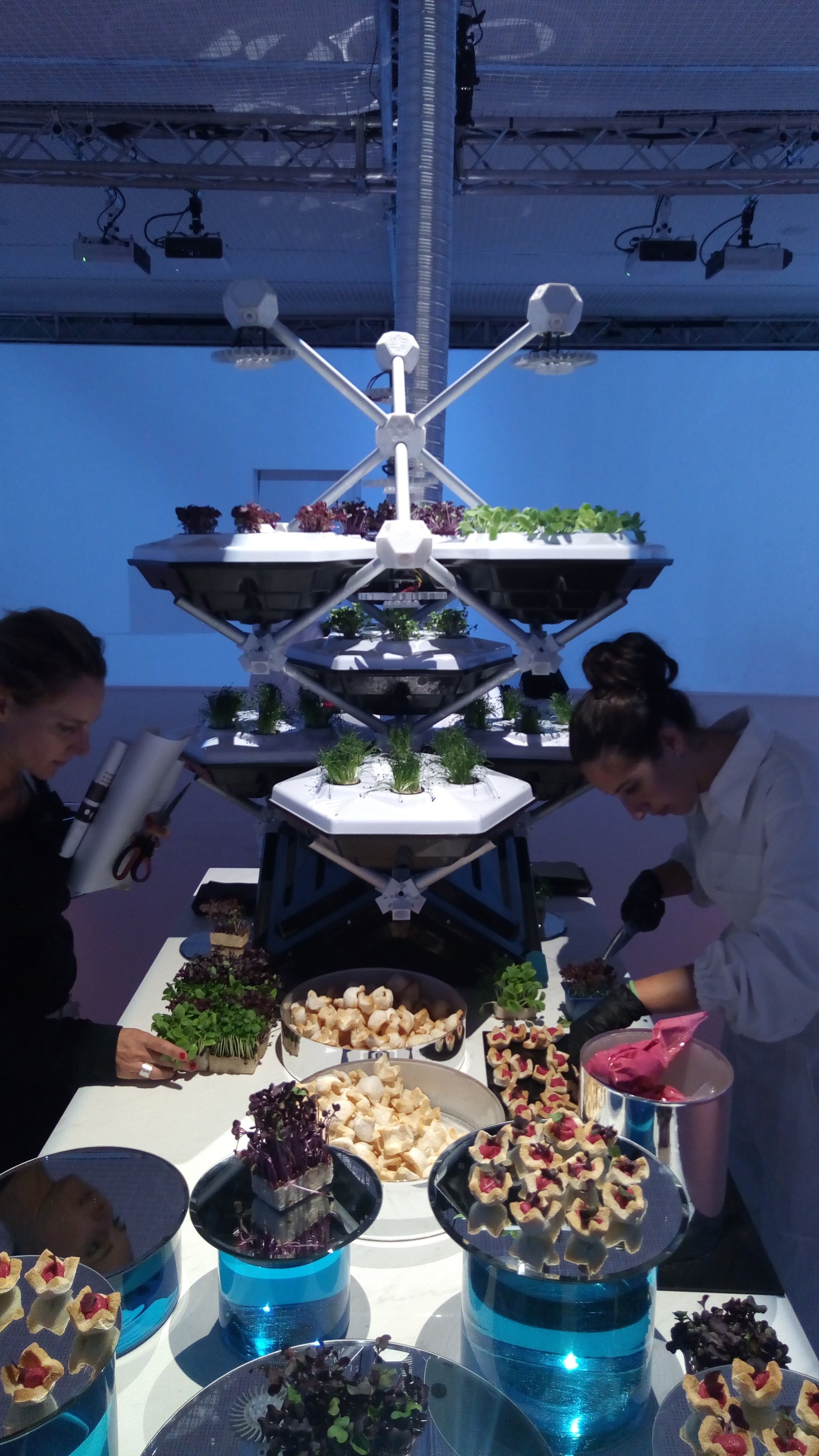 Grow Food Indoors