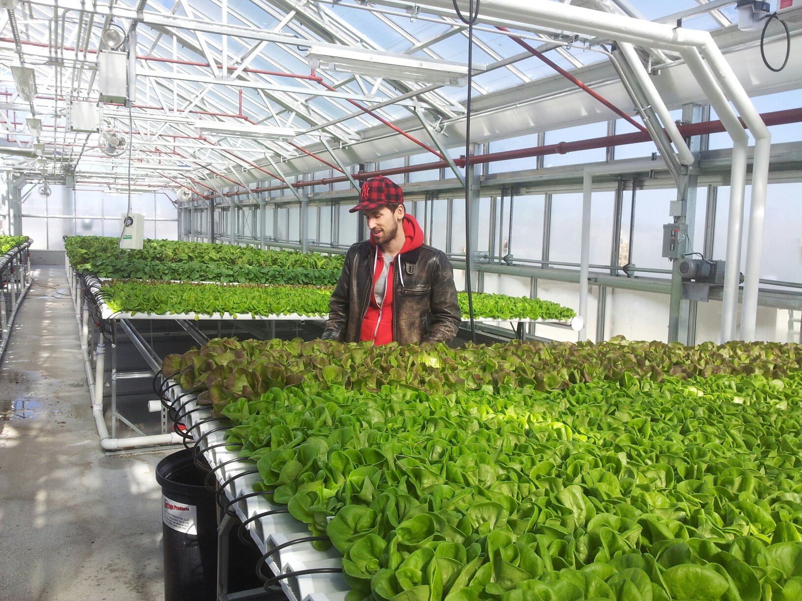 Me interning at Sky Vegetables greenhouse in 2013