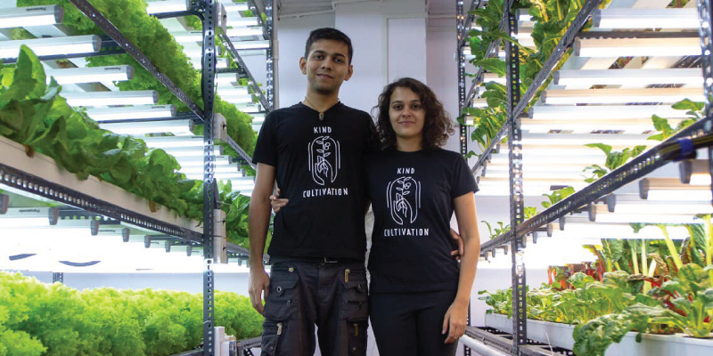Herbivore Farms