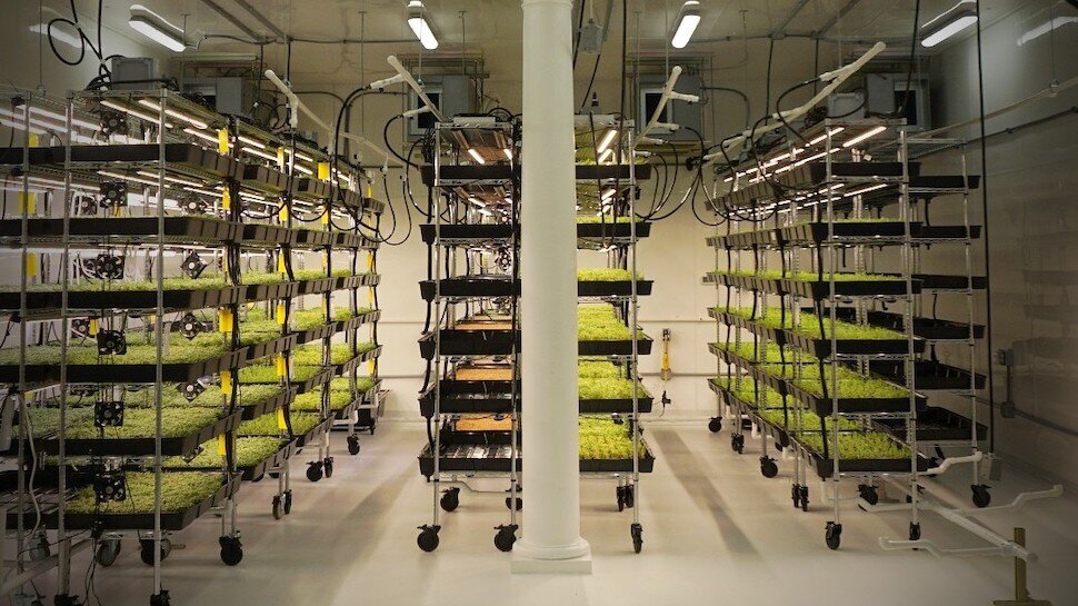 Heron Farms saltwater hydroponics | Photo provided by Heron Farms