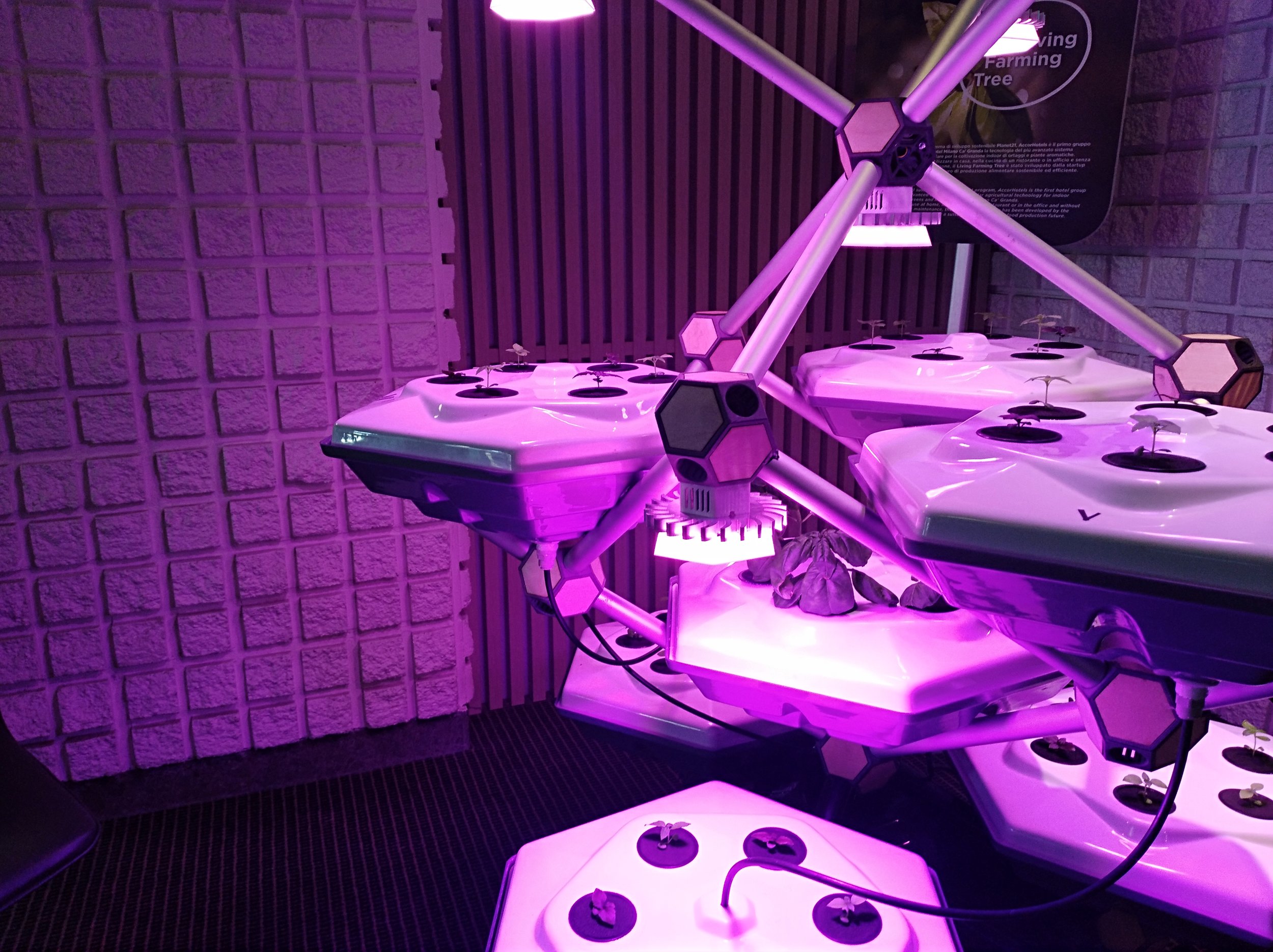 Hexagro_SelectedPhotos2019_02.jpg