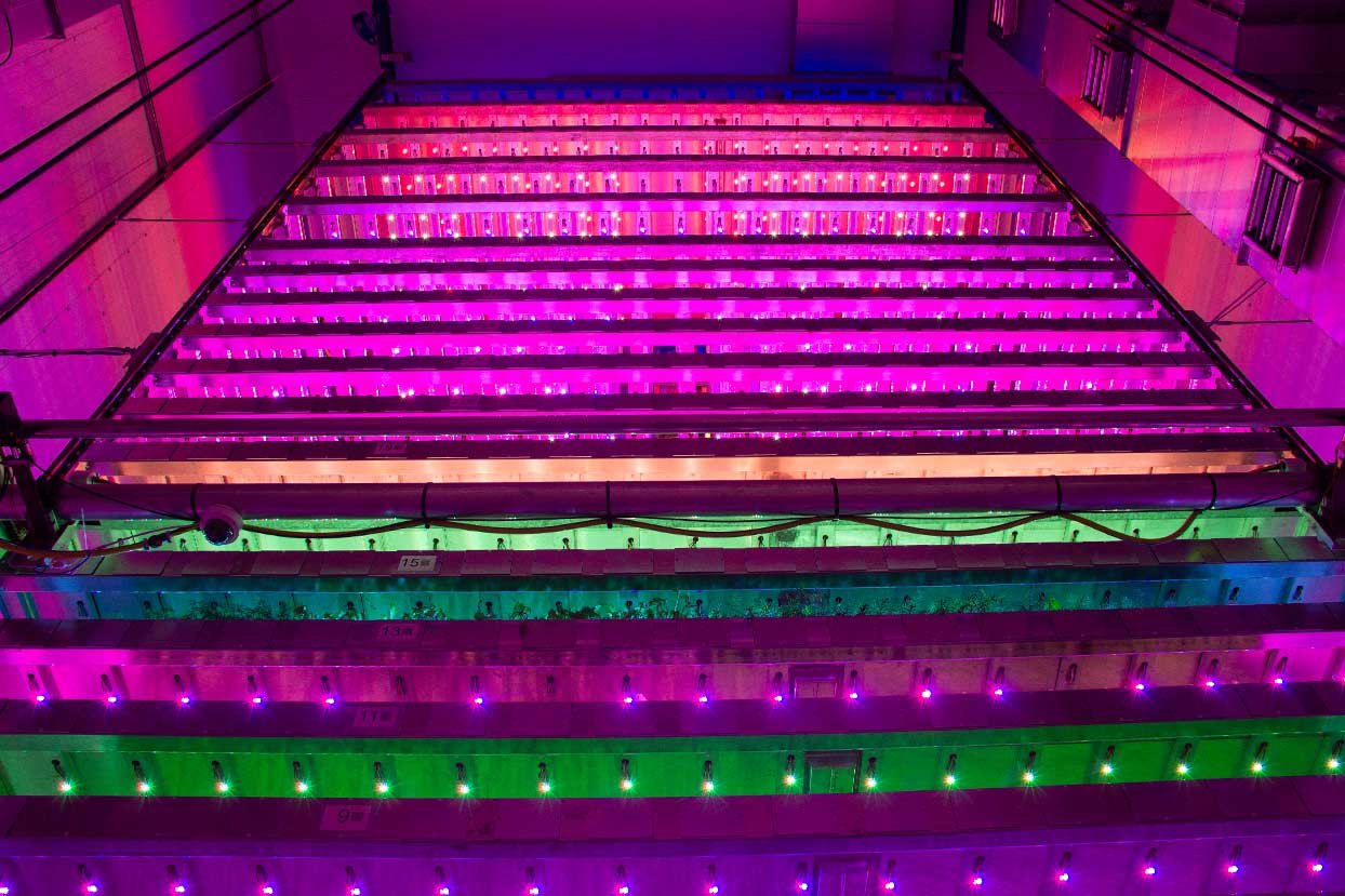 IGS Scotland vertical farm 3.jpg