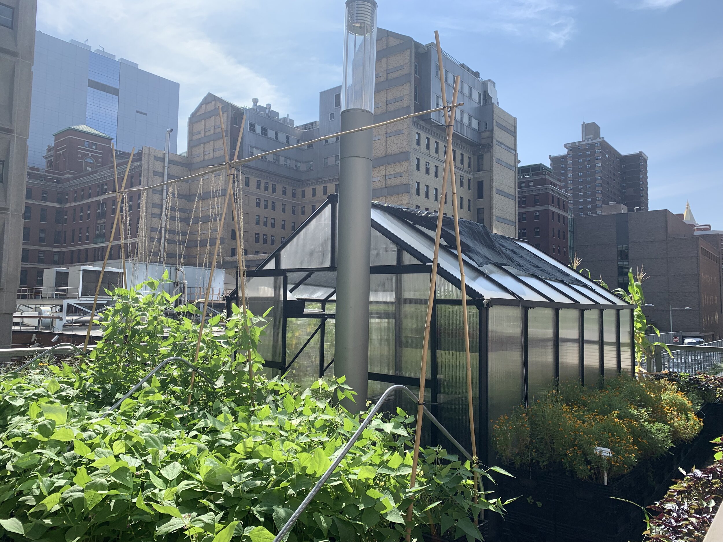 Riverpark Farm, NYC