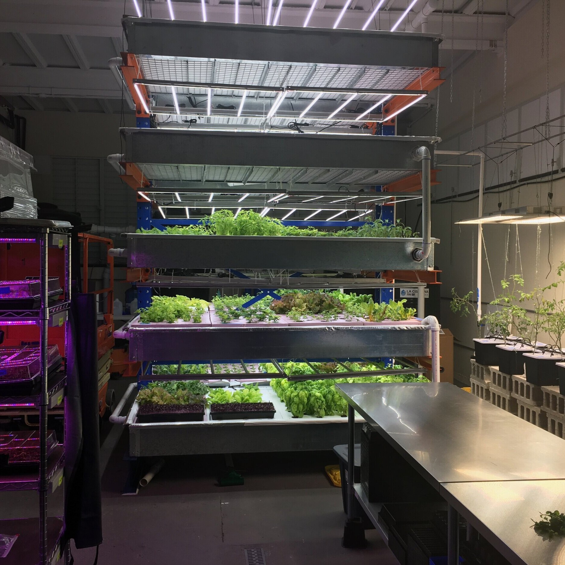 Image sourced from Fusion Farms