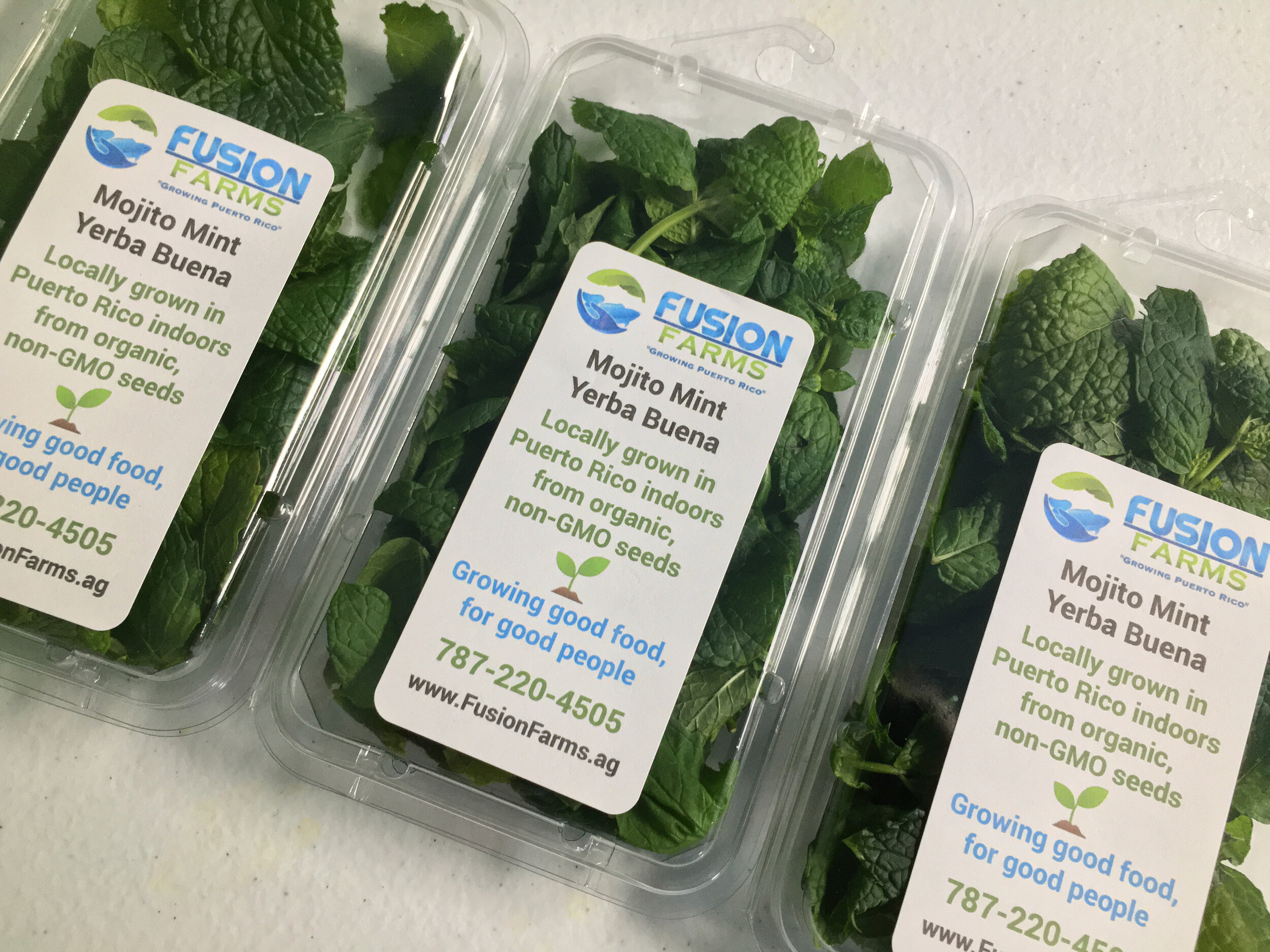 Image sourced from Fusion Farms