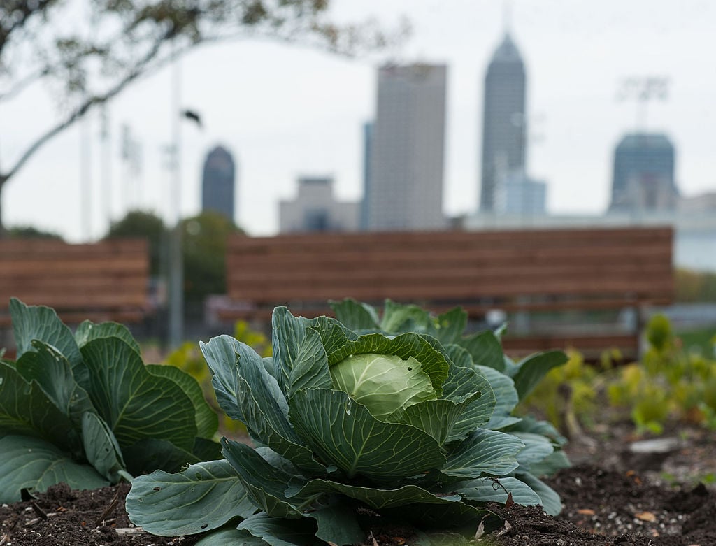 Indiana U urban ag.jpg