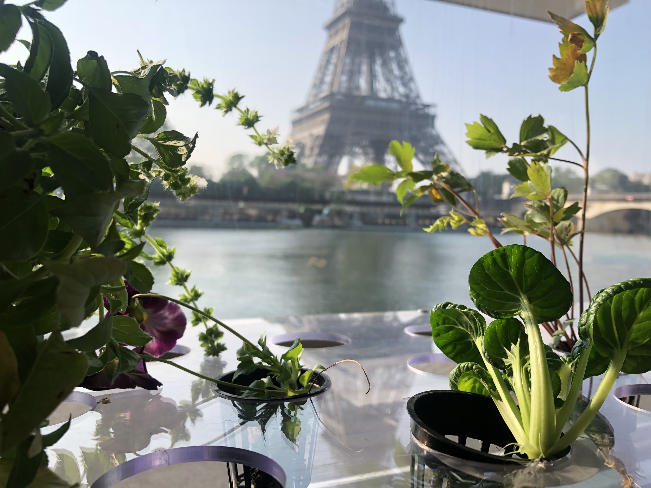 Inside the Growtruck- Eiffel Tower View.JPG