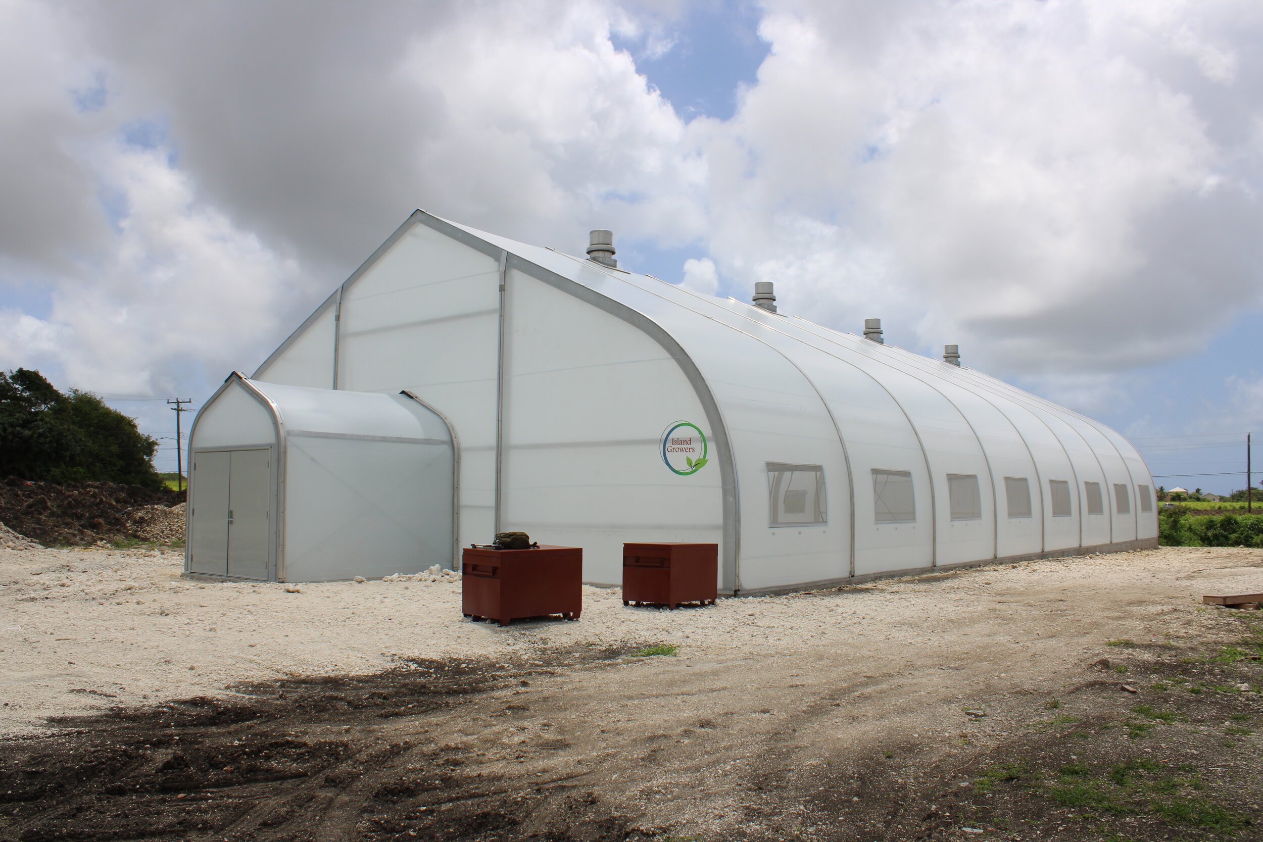 Island Growers Caribbean Sprung’s greenhouse in Barbados; image sourced from Sprung Structures