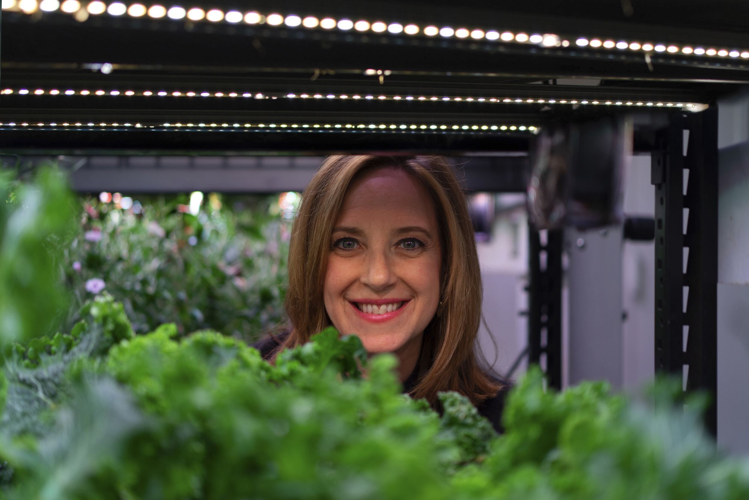 JenFarm.One4_smaller_lighs.jpg