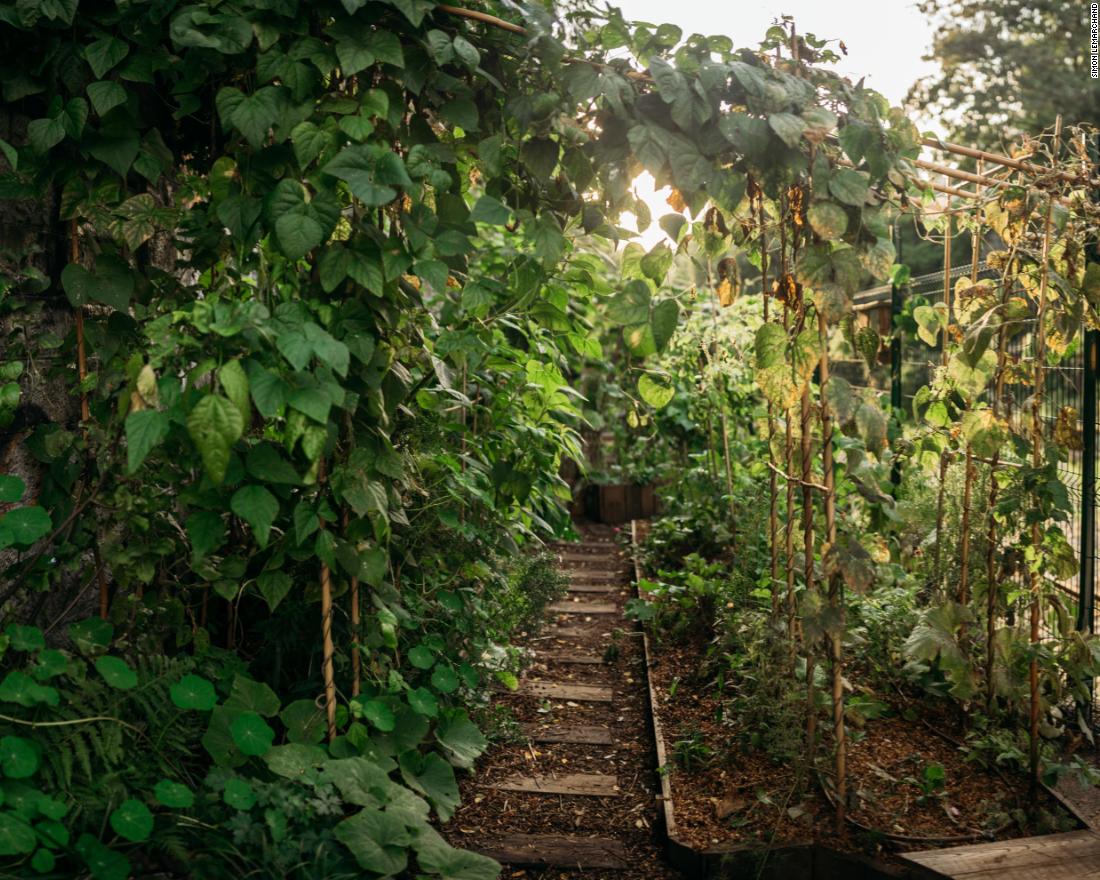 La REcyclerie, Paris - Located next to the café, the urban farm&nbsp;covers 1,000 square meters (about 10,760 square feet), and features more than 150 herbs and crops, as well as beehives and animals.&nbsp;Credit:&nbsp;Simon Lemarchand