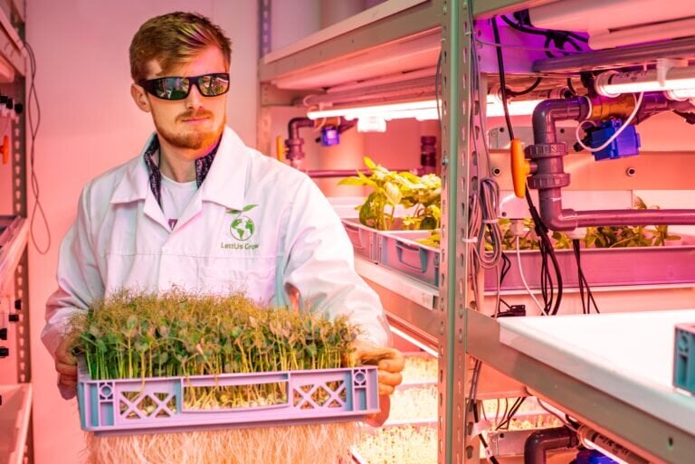 Jack Farmer, Co-founder and CSO LettUsGrow