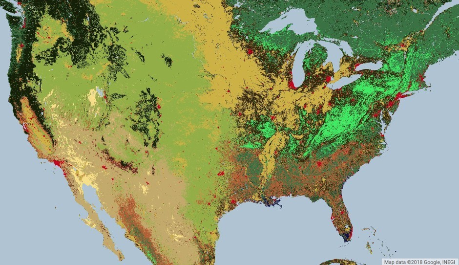 A MODIS Land Cover Type satellite image of the United States, similar to imagery analyzed by the researchers. Different colors indicate different land uses: red is urban; bright green is deciduous broadleaf forest. (Obtained from https://lpdaac.usgs…