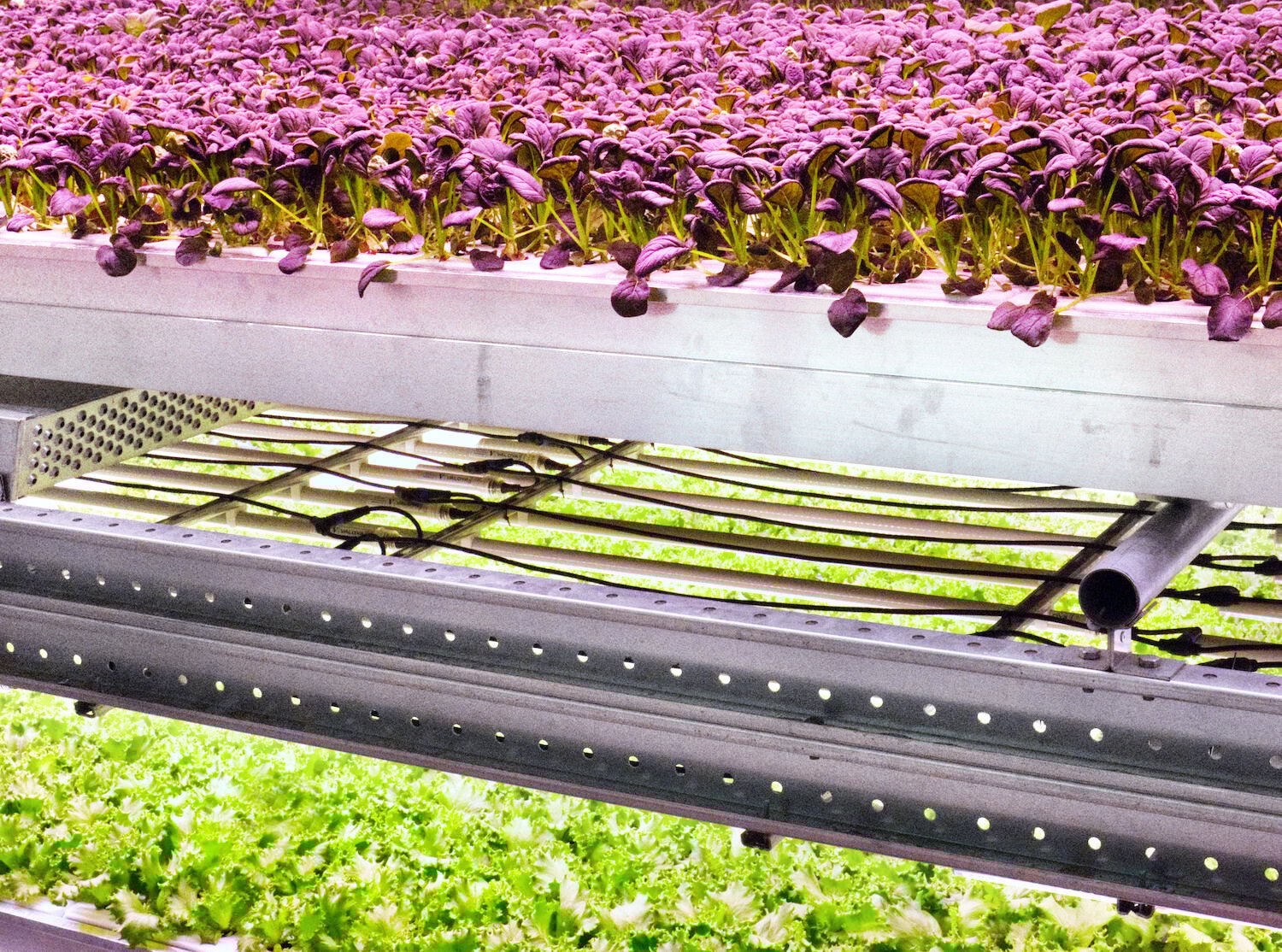Image sourced from Urban Oasis
