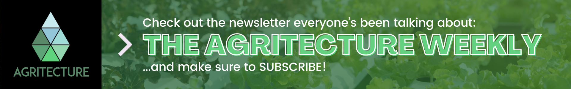 Newsletter CTA.png