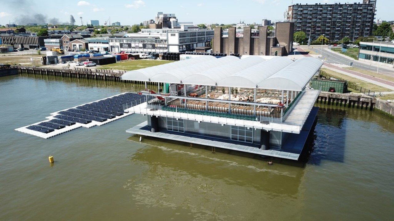 Image sourced from the Floating Farm Rotterdam, and designed by the architecture studio Goldsmith