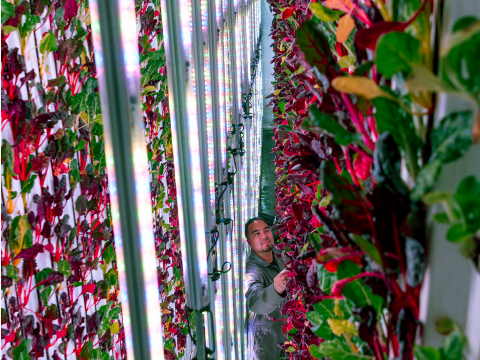Plenty Farm.jpg