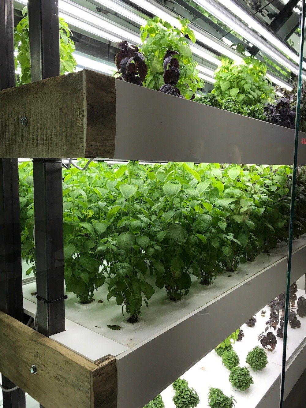 NYC Agtech Week 2017. (Photo by Nina Sparling)