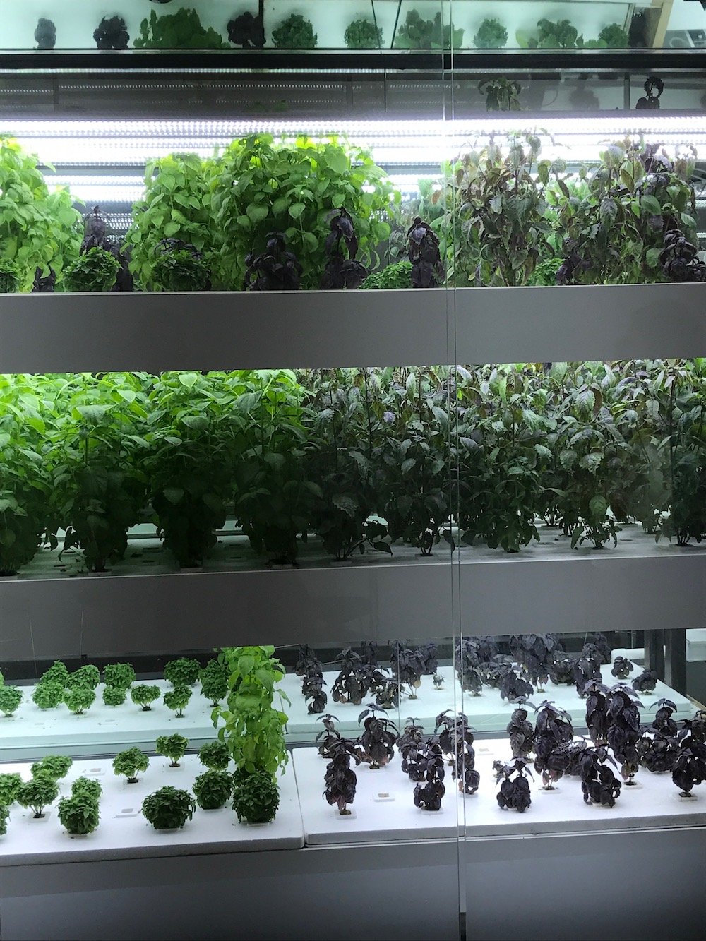NYC Agtech Week 2017. (Photo by Nina Sparling)