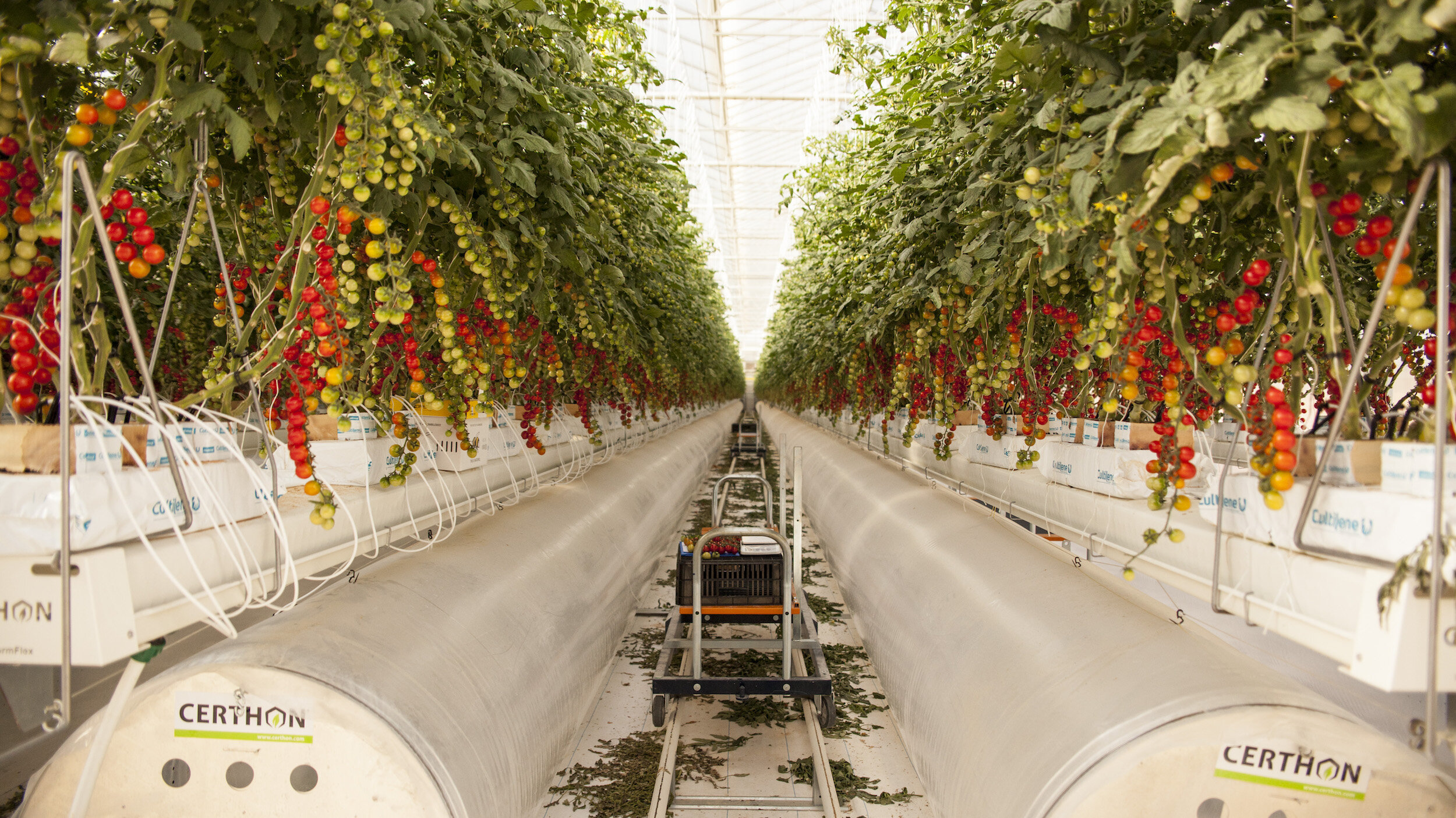 Pure Harvest Smart Farm.jpg
