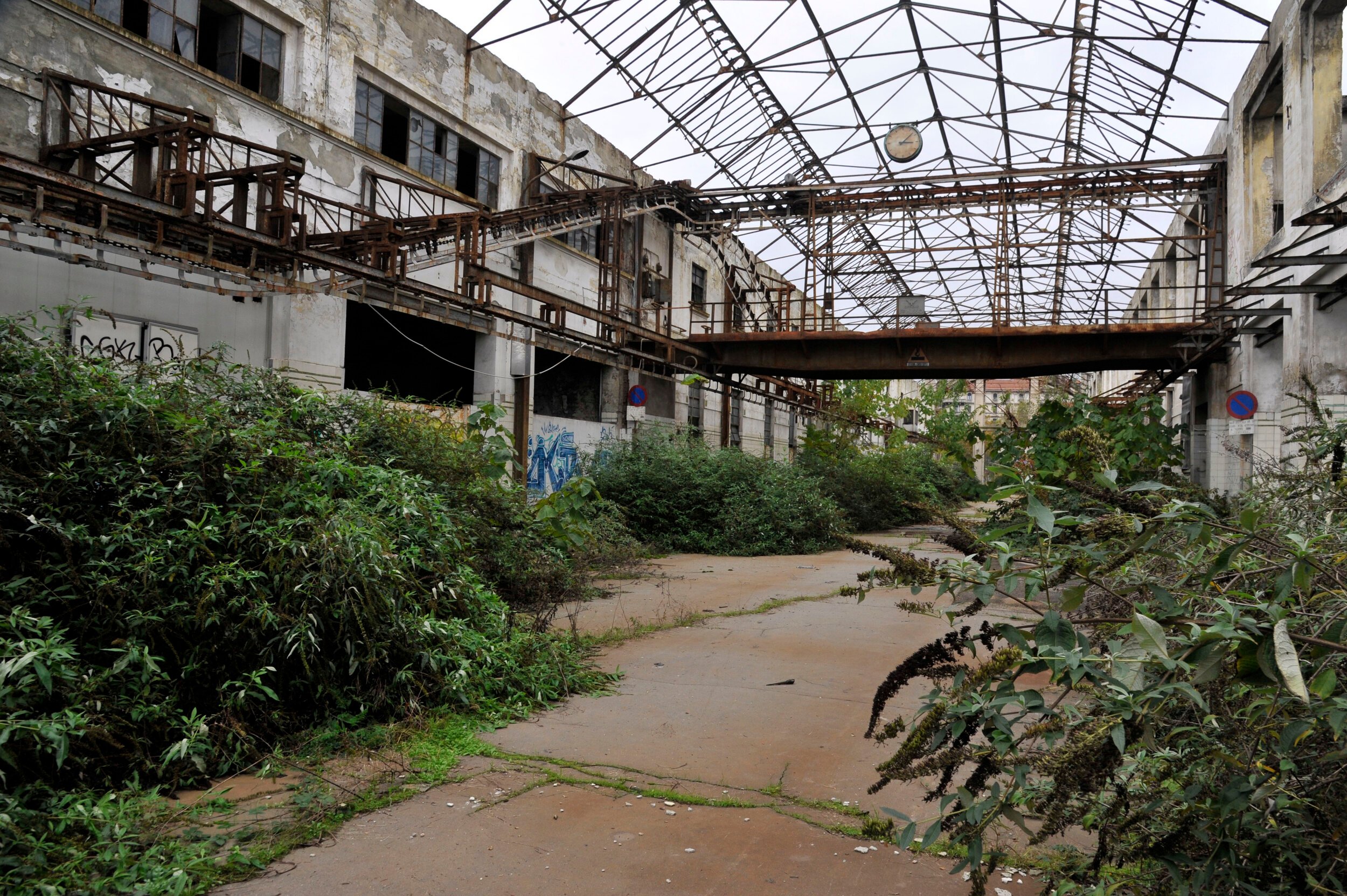 An image of the abandoned slaughterhouse in Milan