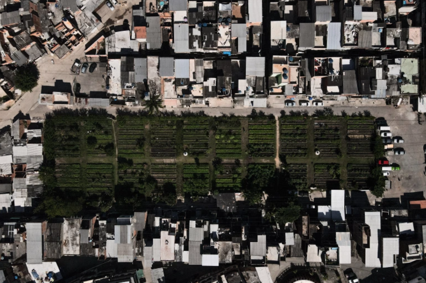 The Horta de Manguinhos project is an urban farm in what was once a drug-plagued favela in Rio de Janeiro [Ian Cheibub/Al Jazeera]