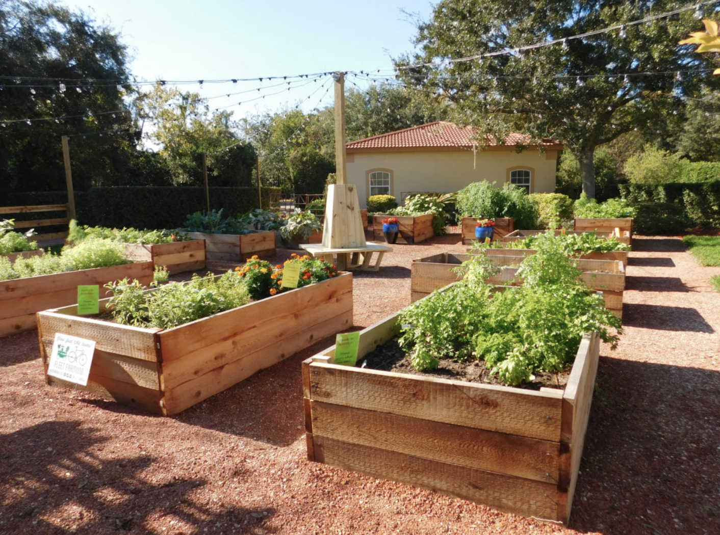 Image of one of Fleet Farming’s converted edible landscape, image sourced from Fleet Farming