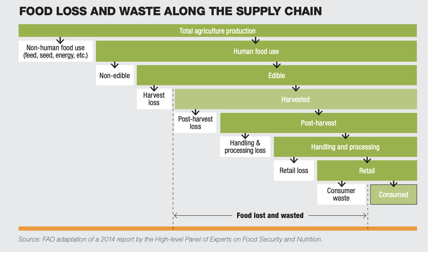 Food loss and waste along the supply chain, graph sourced from MEED’s Investing in Food Security report