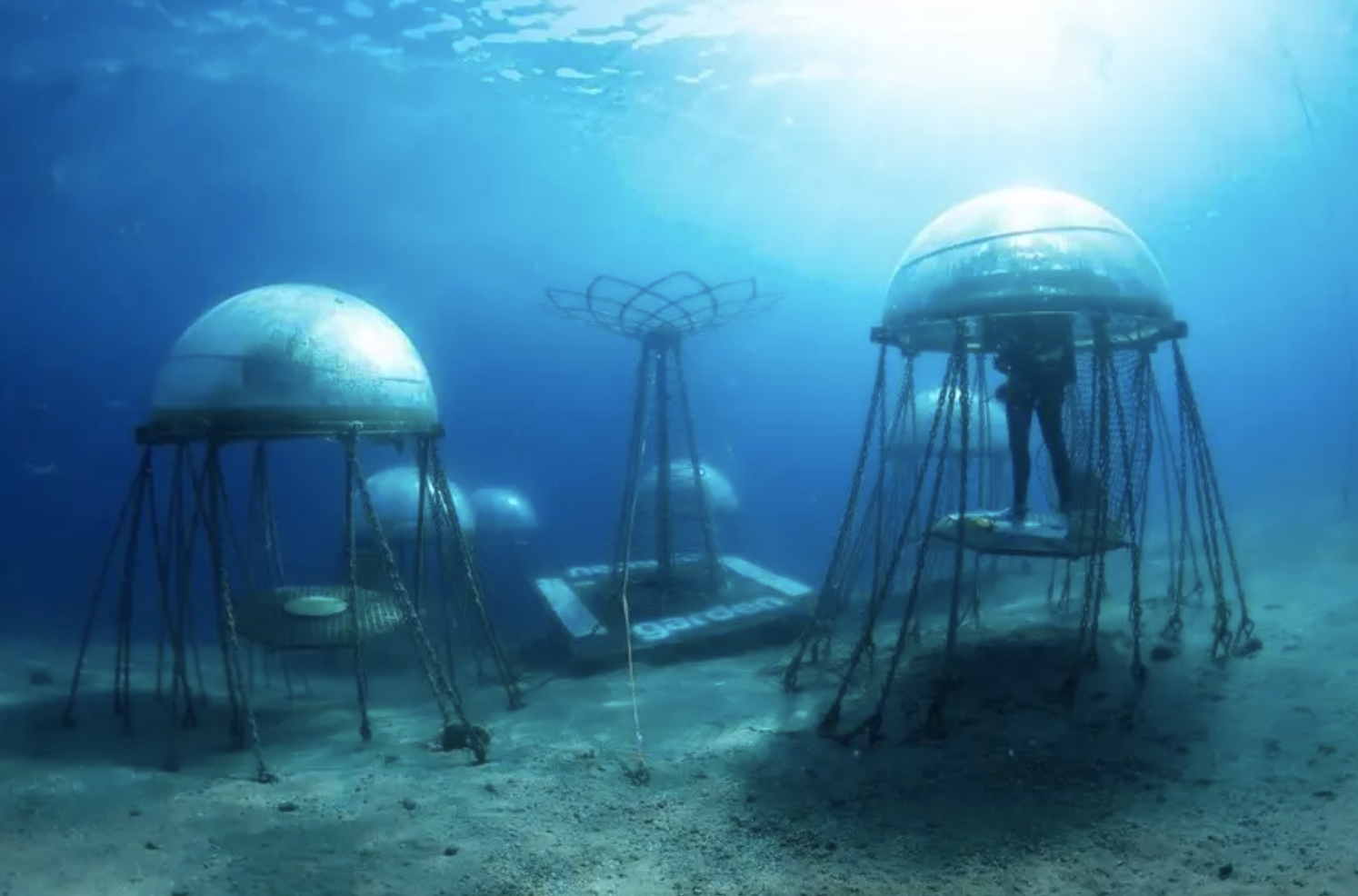 Image sourced from Nemo’s Garden