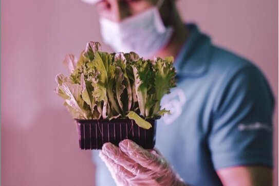 Image sourced from: Badia Farms