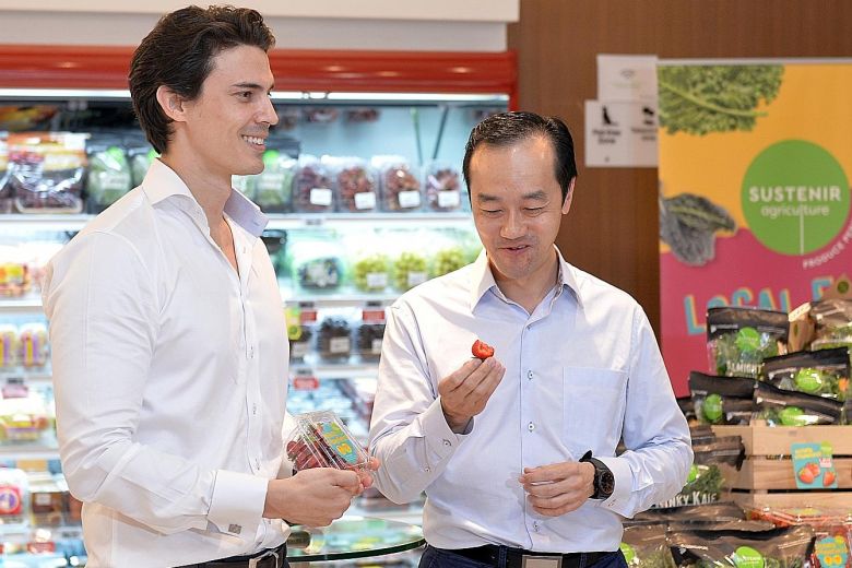 Sustenir Agriculture CEO Benjamin Swan offering Dr. Koh Poh Koon a taste of locally-grown strawberries, which are on sale at $12 a punnet.