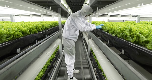 Skyscraper-Farms.jpg