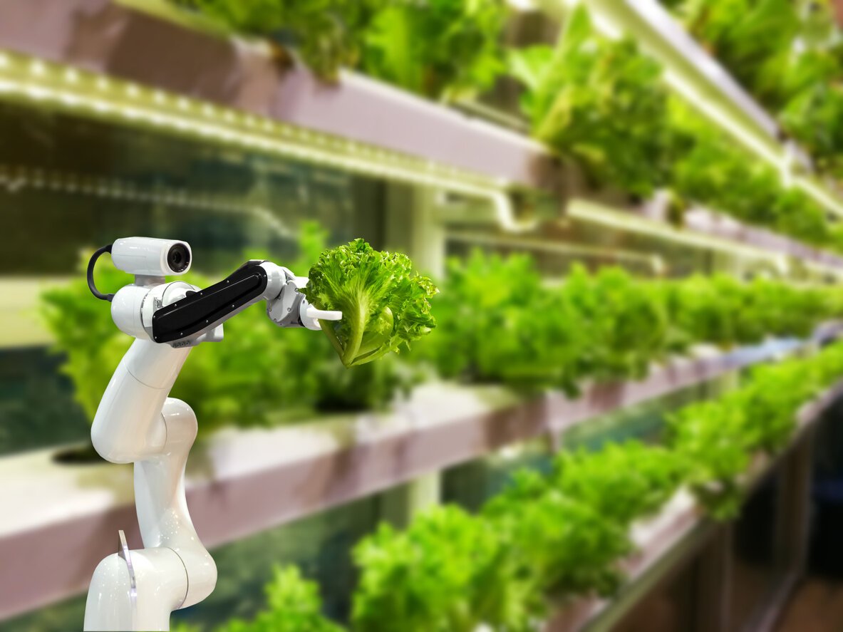 Smart-robotic-farmers-in-agriculture-futuristic-robot-automation-to-vegetable-farm-1082376566_1185x889.jpg