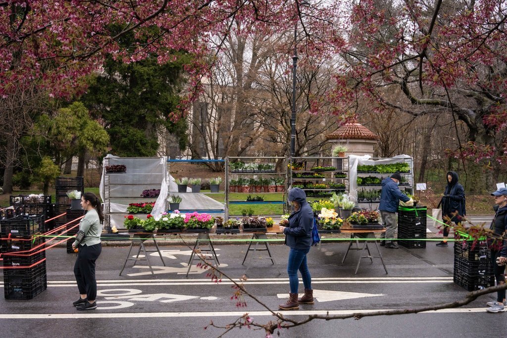 Image courtesy of GrowNYC