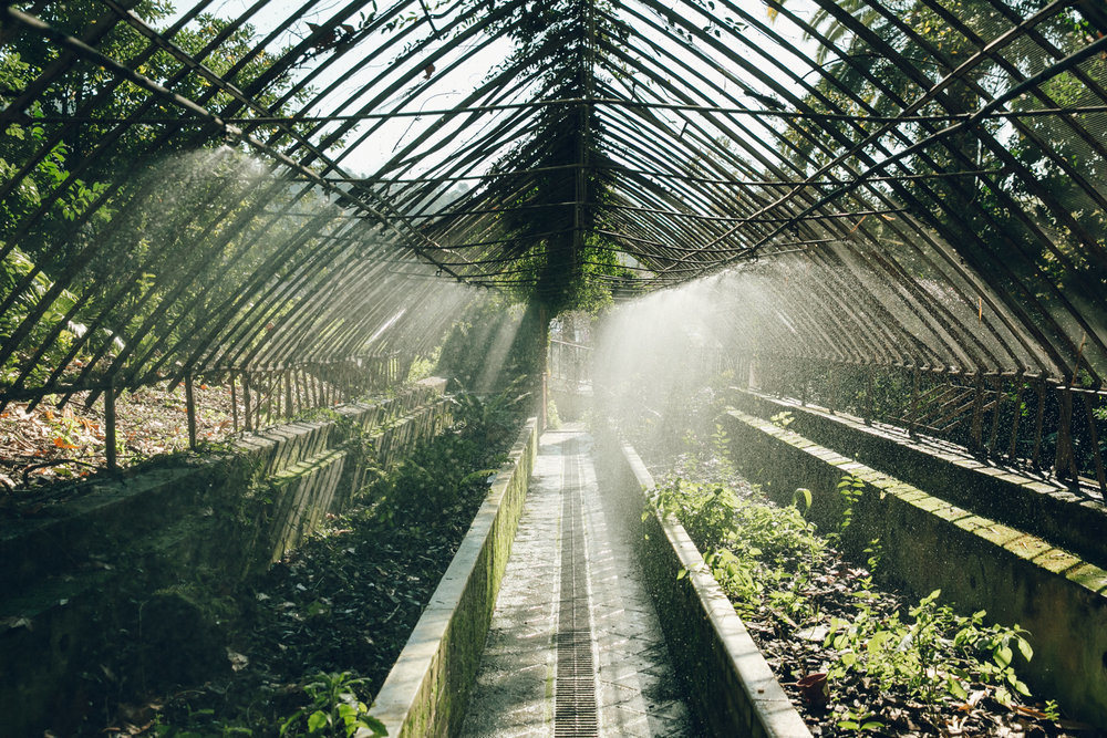 THE SEARCH FOR THE WORLD’S MOST ENCHANTING GREENHOUSES.jpg
