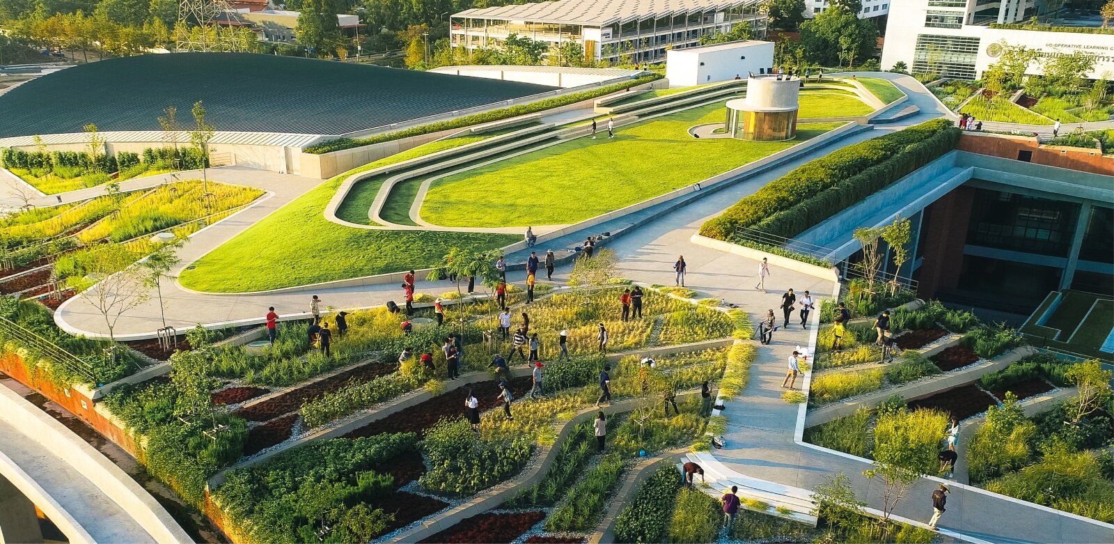 TURF-LANDPROCESS-58756-main_5298-1_58756_sc_v2com.jpg