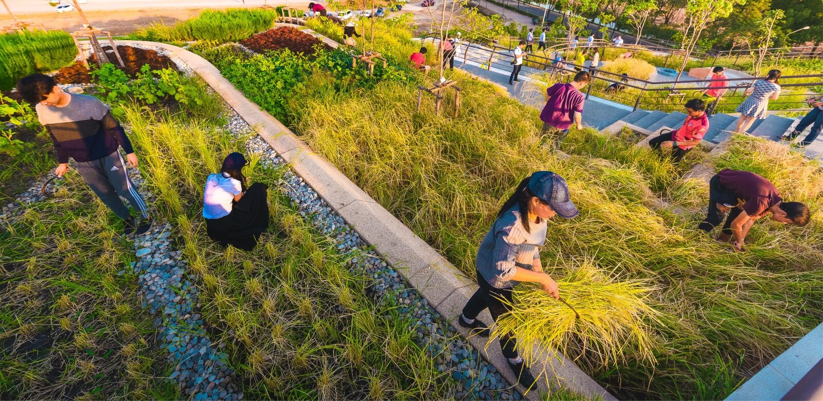 TURF-LANDPROCESS-58762-main_5298-1_58762_sc_v2com.jpg