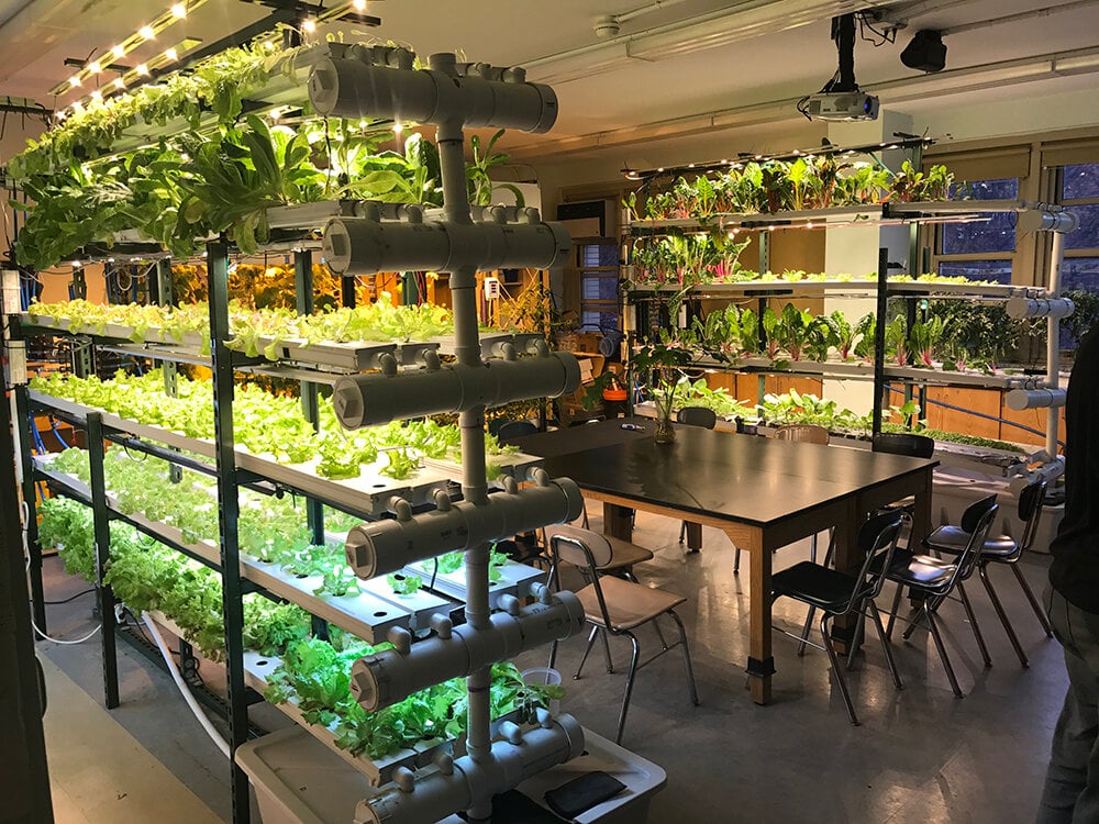 Image sourced from Agritecture’s client, Teens For Food Justice