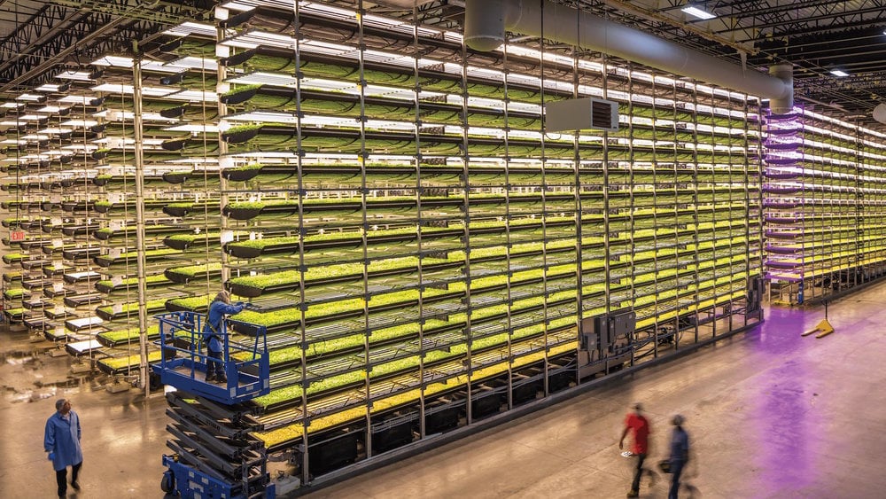 Urban Agriculture Can it Feed Our Cities.jpg