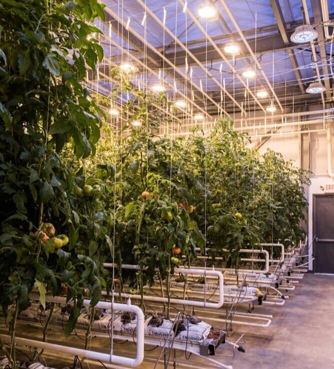 Image sourced from Vertical Harvest