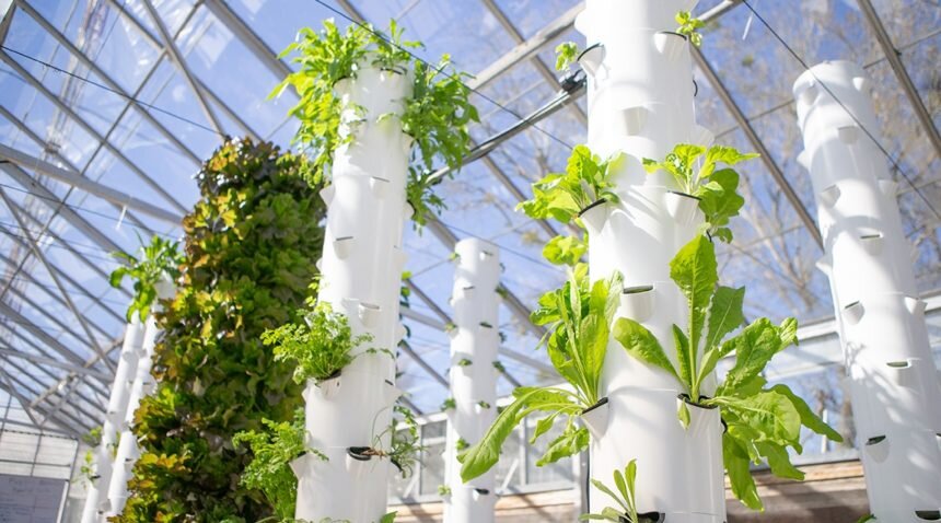Vertical-gardens-feature-860x478-c-default.jpg
