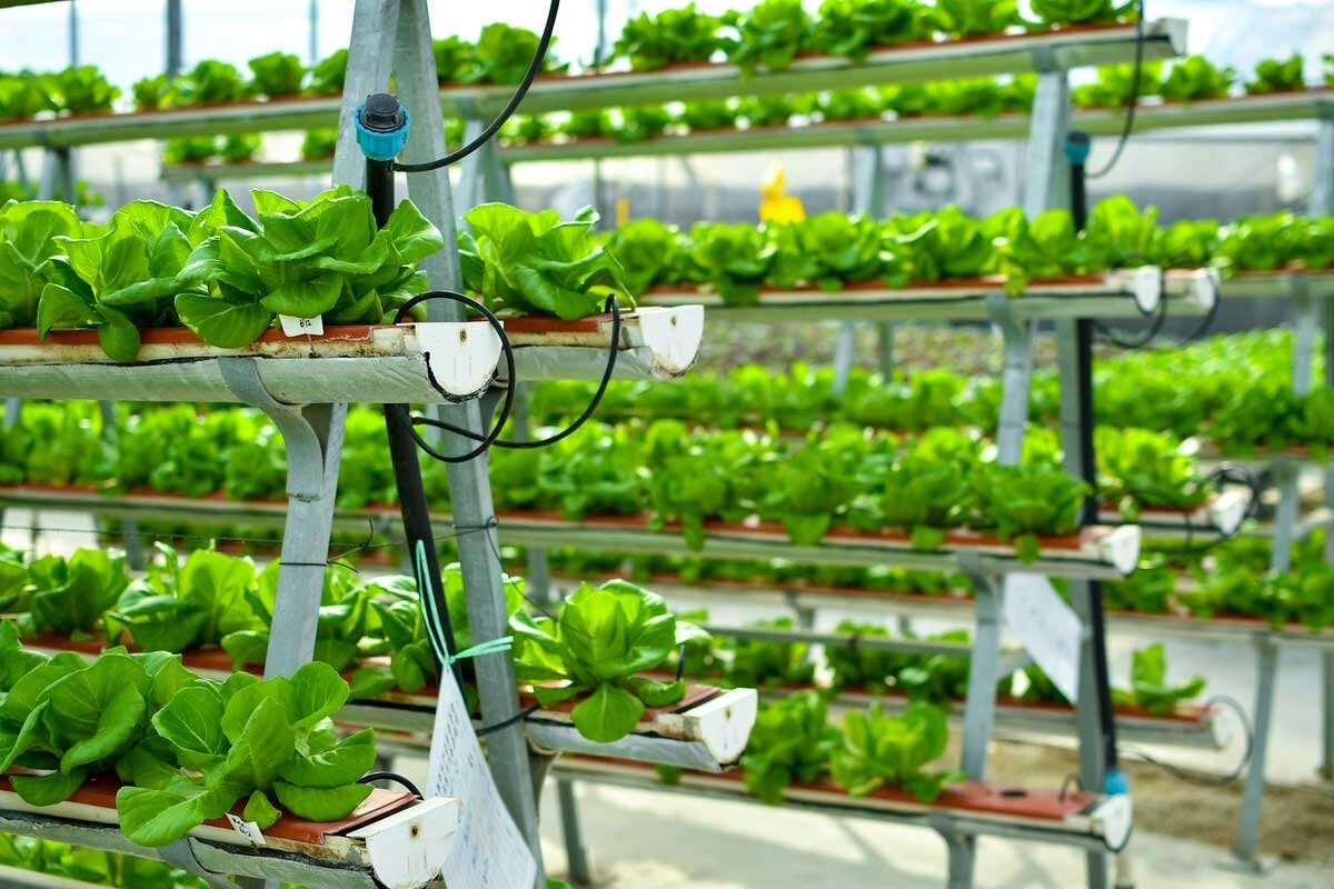VerticalFarming.jpg