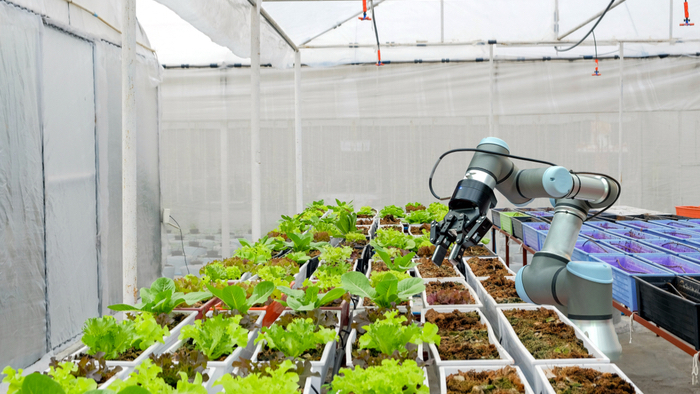 What-Artificial-Intelligence-Can-Do-for-Smallholder-Farmers.jpg