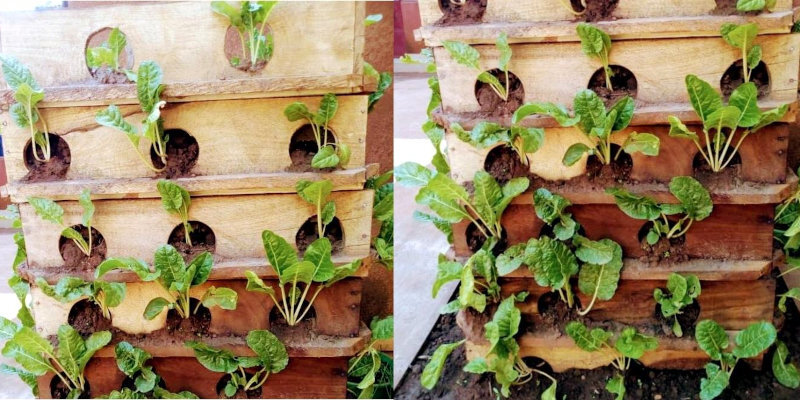 A Women Smiles vertical farm