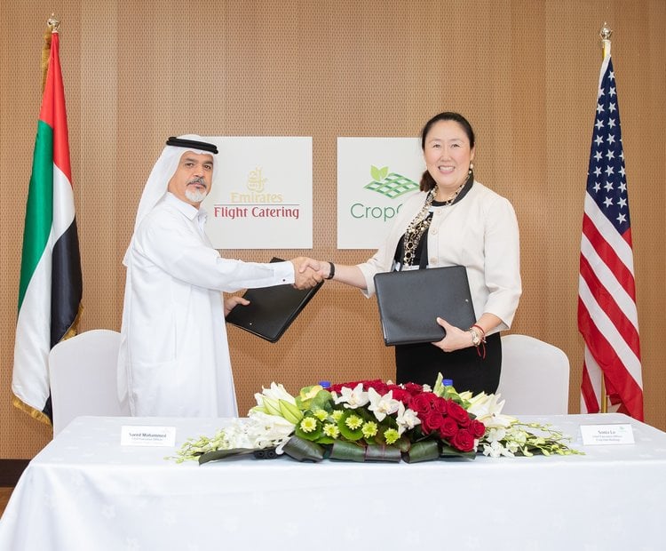 World's Largest Vertical Farm to Be Built in Dubai.jpg