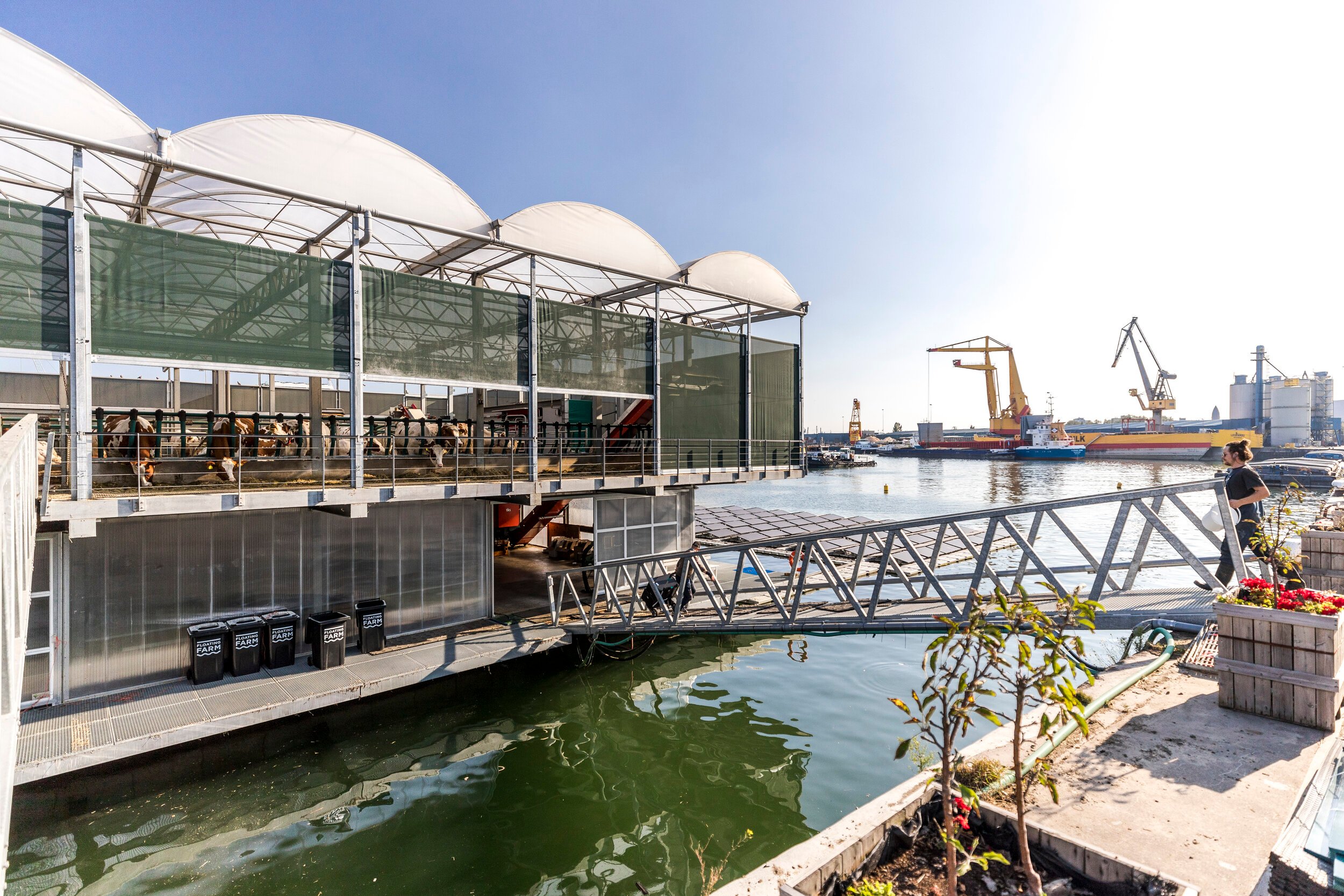 Image sourced from the Floating Farm Rotterdam, and designed by the architecture studio Goldsmith